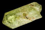 Five Yellow Apatite Crystals (High Quality) - Morocco #108374-1